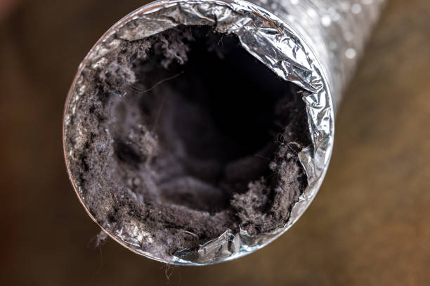 Best Emergency Air Duct Cleaning  in Lakehurst, NJ