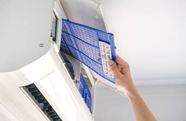 Best Air Duct Sanitizing Services  in Lakehurst, NJ
